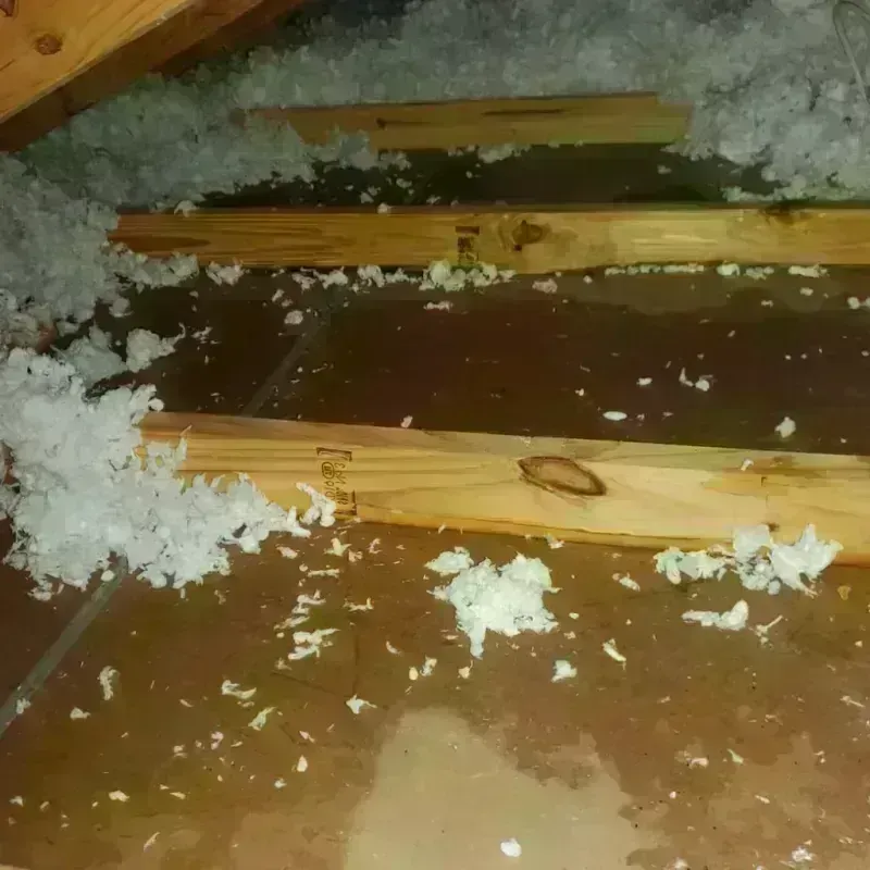 Attic Water Damage in Somersworth, NH